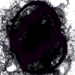 Darkness Egg