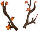 Autumn Antlers