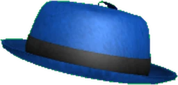 Blue Hat