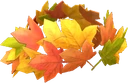 Leaf Crown