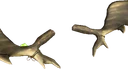Ornamental Antlers