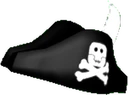 Pirate Captain