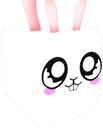 Bunny Bunny