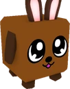 Bunny Doggy
