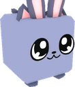 Bunny Kitty