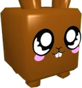 Chocolate Bunny