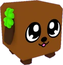 Clover Doggy