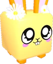Daisy Bunny