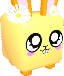 Daisy Bunny