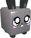 Dark Bunny