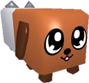Dogcat