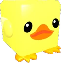 Ducky