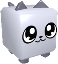 Kitty
