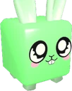 Lucky Bunny