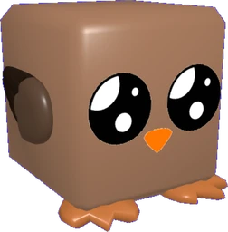 Owl