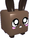 Palm Bunny