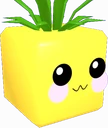 Pineapple Boi