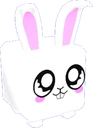 Pocket Bunny