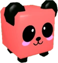 Red Panda