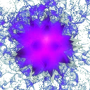 Sea Urchin