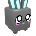 Shiny Bunny Bunny