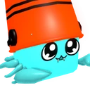 Shiny Hermit Crab