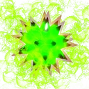 Shiny Sea Urchin