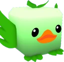 Spearmint Duck