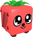 Strawberry Doggy