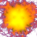 Summer Virus
