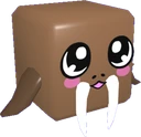 Walrus