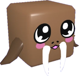 Walrus