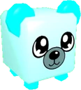 Water Bear