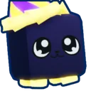2026 Kitty