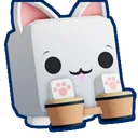Bongo Kitty