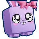 Bow Bunny