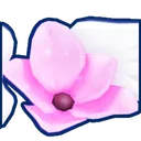 Cherry Sakura