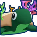 Coral Turtle