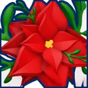 Heavenly Poinsettia