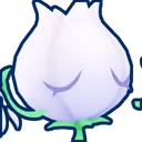 Lily Bud