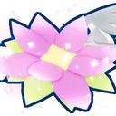 Lovely Lotus