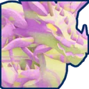 Mythic Taffy Dragon
