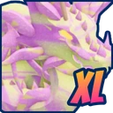 Mythic XL Taffy Dragon