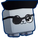 Pirate Kitty