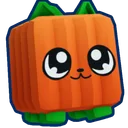 Pumpkin Kitty