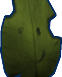 Random Leaf