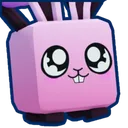 Sakura Bunny