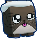 Santa Rigby