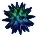 Sea Urchin
