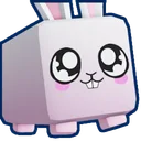 Shiny Bunnnny